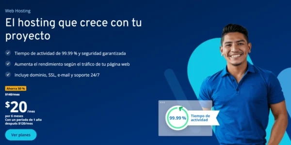 IONOS Opiniones